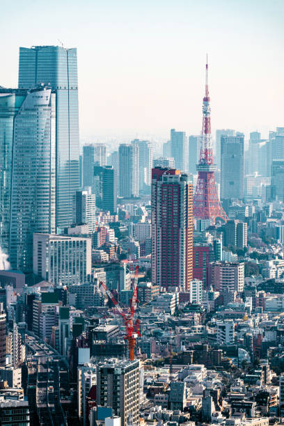 istock Tokyo, Japan skyline with the Tokyo Tower 1479761794
