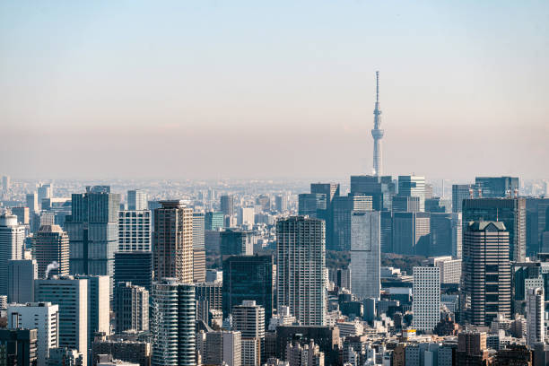 istock Tokyo, Japan skyline with the Tokyo Sky Tree 1479761870