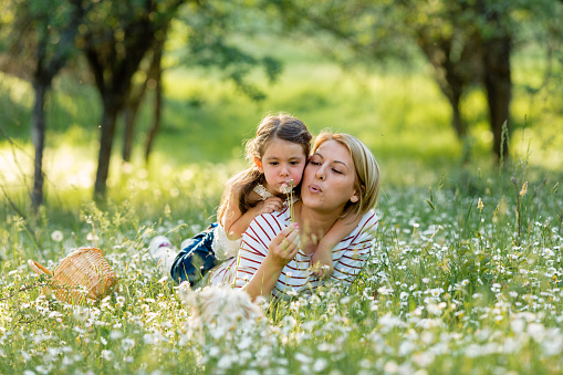 Mother and child lying in the meadow and having fun blowing dandelions
