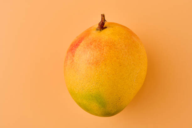 istock Sweet ripe mango shot with studio lighting background. 1479764340