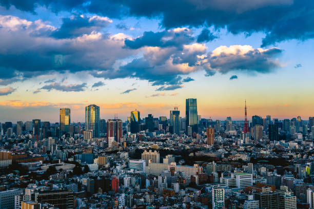 istock Tokyo, Japan skyline with the Tokyo Tower 1479769708