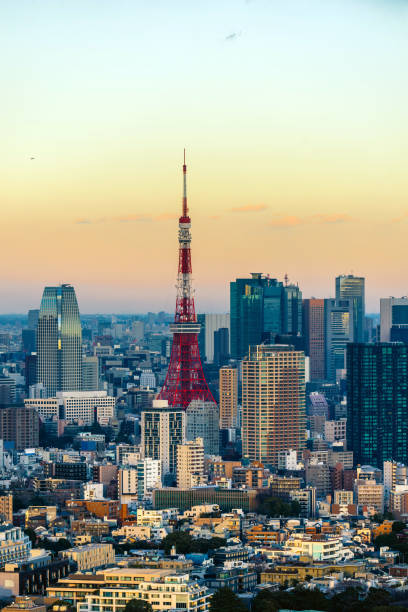 Tokyo, Japan skyline with the Tokyo Tower