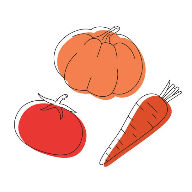 Vector illustration of Farm fresh orange red vegetables doodle line set