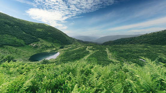 Lake on green mountains valley. Blue sky with white clouds. Rewilding and recreation concept. Copy space background. Discover the beauty of the earth. Nature of Ukraine.