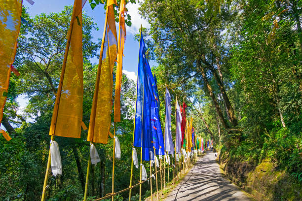 beautiful way to samdruptse statue , sun light and shadow of tree on the road and flags waving on the other side of road . samdruptse is a huge buddhist memorial statue in sikkim, india. - padmasambhava imagens e fotografias de stock