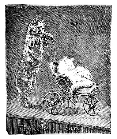 One cat pushes another cat in a doll stroller. Anthropomorphism. Illustration published 1889. Original edition is from my own archives. Copyright has expired and is in Public Domain.