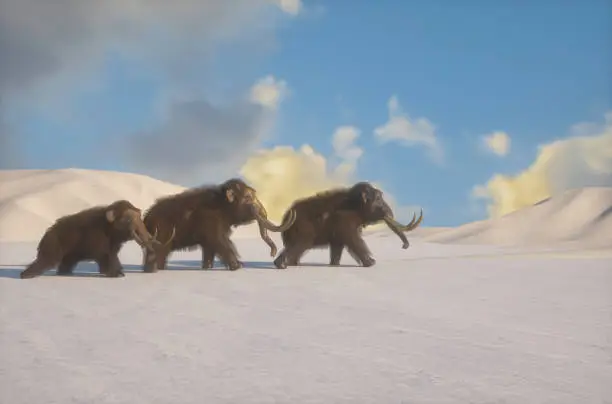 mammoth on the background of winter and snow , herd of mammoths render 3d