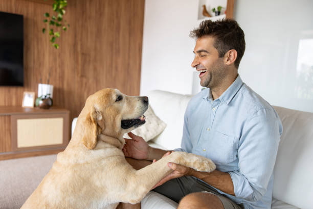 Happy man stroking his dog at home