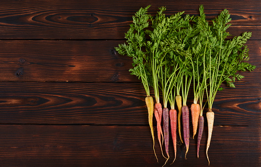 Color carrot with leaves at organic greengrocer's shop. stock photo.