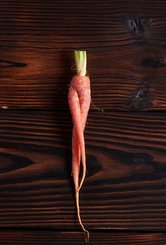 Color carrot with leaves at organic greengrocer's shop. stock photo.