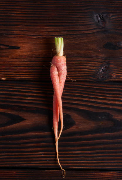 pokoloruj marchewkę z liśćmi w ekologicznym warzywniaku. zdjęcie stockowe. - carrot isolated bunch baby carrot zdjęcia i obrazy z banku zdjęć