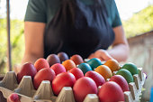 A young woman in an apron holds a carton package container with eggs painted for Easter.