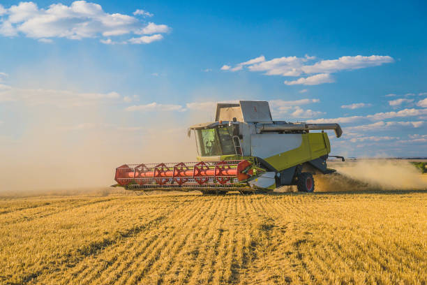 istock Harvesting with a combine harvester on sunny summer day 1479785946