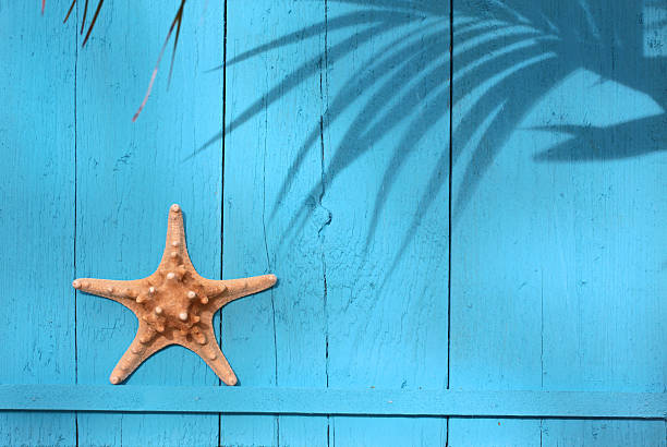 Maritime decorations Maritime decorations on a bright blue wooden wall beach hut photos stock pictures, royalty-free photos & images