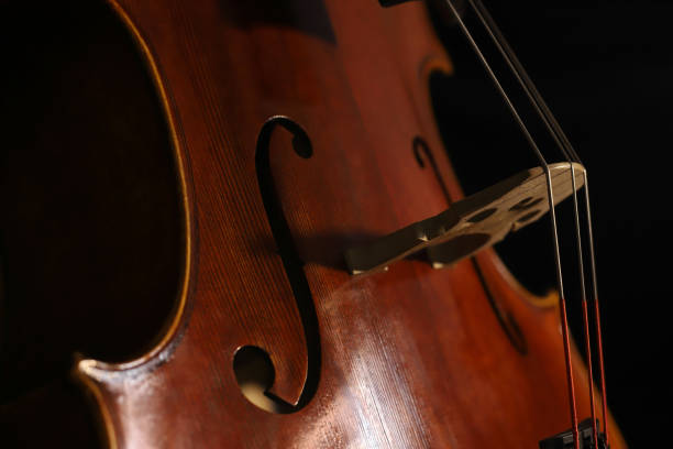 istock Cello strings on bridge of artisan instrument close-up. 1479789462