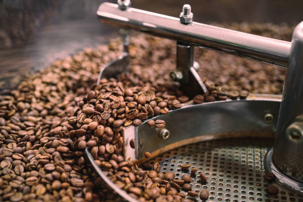 Roasted Coffee Beans at the Cooler Part of the Roasting Machine stock photo