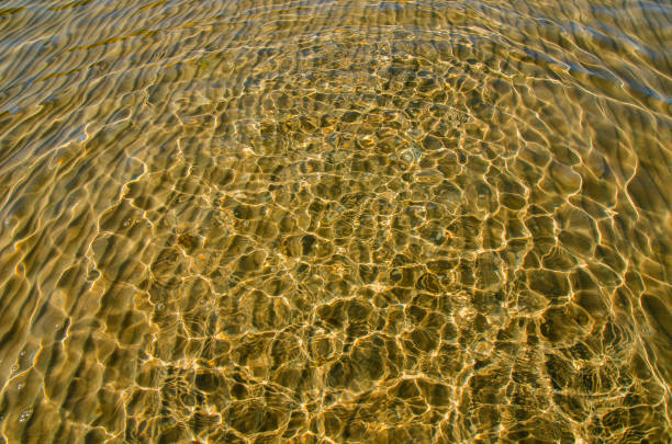 istock great background whimsical patterns on the sand across the water horizontal orientation good for photo wallpaper 1479792657