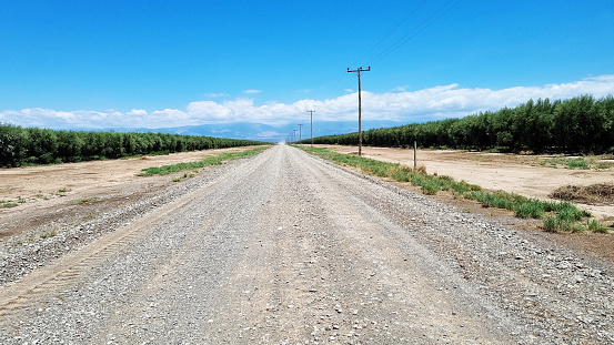 A beautiful road in San Juan, northern Argentina. Driving alongside olive trees, and enjoying the view of the Andes Mountains.