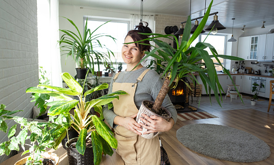 A happy woman in a green house with a potted plant in her hands smiles, takes care of a flower. The interior of a cozy eco-friendly house, a fireplace stove, a hobby for growing and breeding homeplant