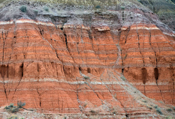 岩層 - 地質史 - 二畳紀、三畳紀、中新世-鮮新世、第四紀(上) - pliocene ストックフォトと画像