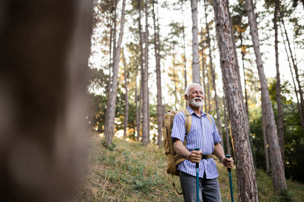 istock Senior man using hiking poles on a hike 1479799234