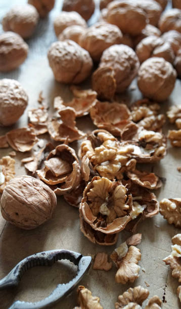 Group of walnuts. stock photo