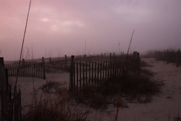 istock Foggy Morning Dunes 1479812917