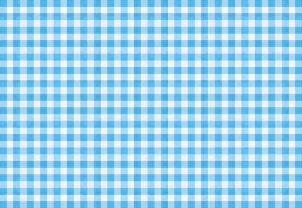 vektor blau karierte stoff hintergrund textur - tartan plaid textured pattern stock-grafiken, -clipart, -cartoons und -symbole