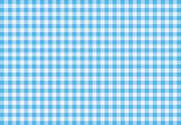Vector Blue Plaid Fabric background textured Blue Plaid Fabric tablecloth stock illustrations
