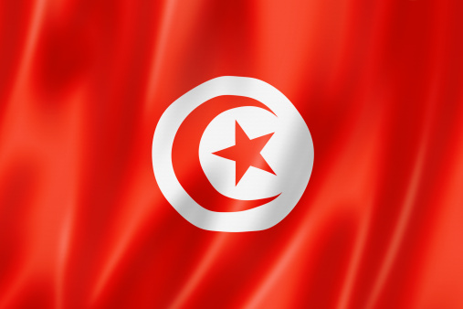Tunisia flag, three dimensional render, satin texture