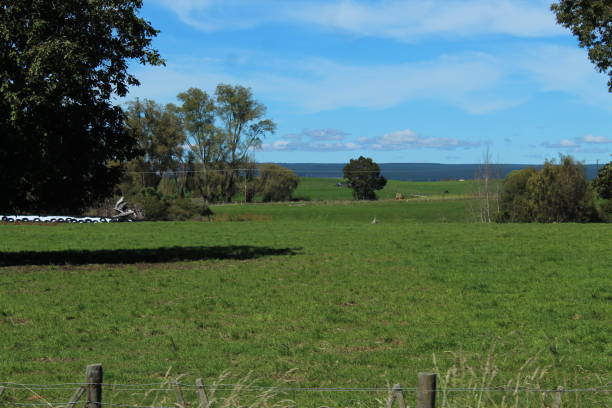 istock Farming in New Zealand 1479825612