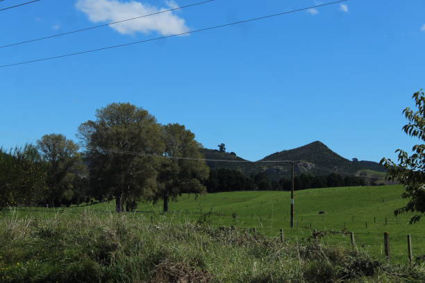 istock New Zealand 1479825662