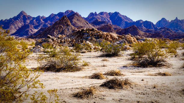 istock Coxcomb Mountains in the Sheep Hole Valley Wilderness 1479826890
