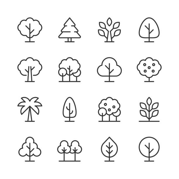 ilustrações de stock, clip art, desenhos animados e ícones de tree icons — monoline series - grove