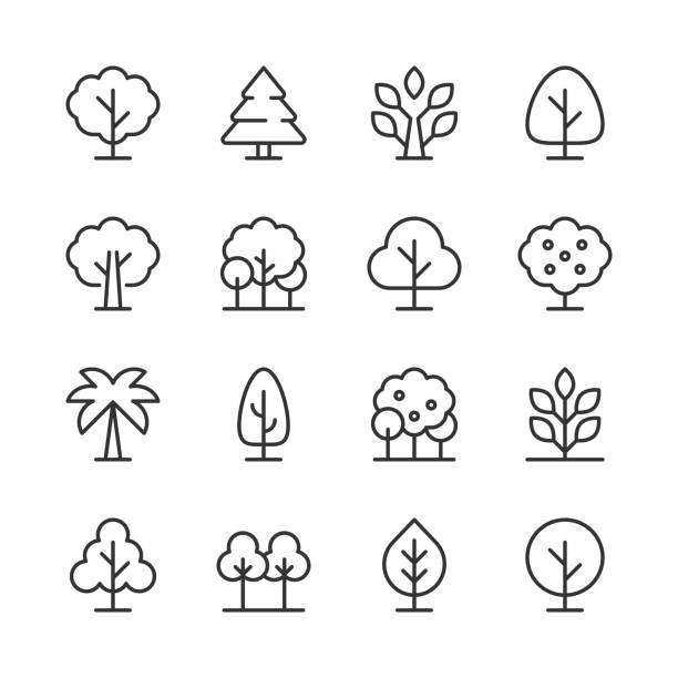 Tree Icons — Monoline Series Vector line icon set appropriate for web and print applications. Designed in 48 x 48 pixel square with 2px editable stroke. Pixel perfect. palm icon stock illustrations