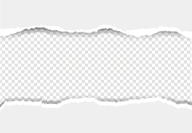 white ripped paper and transaprent background - kağıt stock illustrations