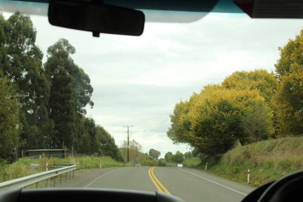 istock Route in New Zealand 1479830389
