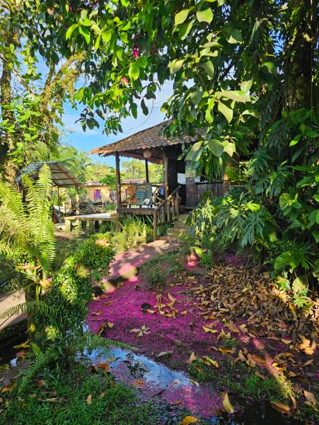 istock The Pink house 1479831238