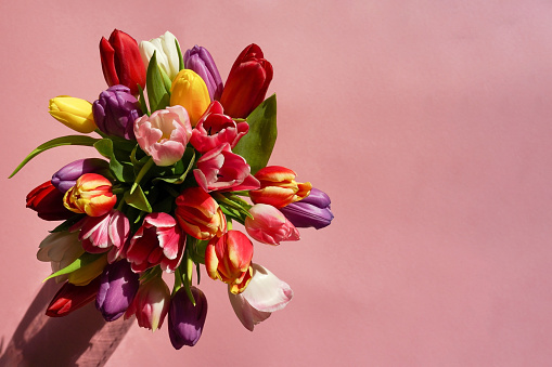 Colorful tulips bouquet on a pink background. Greeting card for Mothers day, Birthday, WEdding. Top view with copy space.