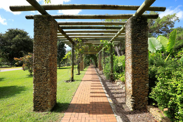 istock Pergola in Miami 1479839860