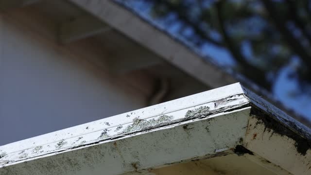 Water Damaged Fascia and Gutter
