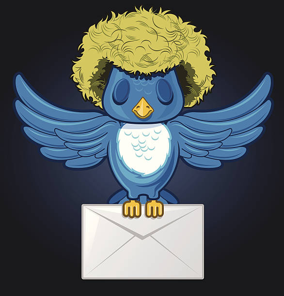 волосы летать птица с почтовый конверт - twitter bird elegance blue stock illustrations