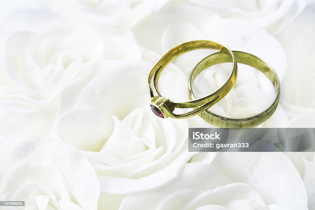 Two wedding rings over white roses Beauty Stock Photo