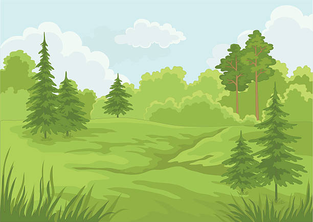 illustrazioni stock, clip art, cartoni animati e icone di tendenza di foresta paesaggio estivo - glade branch vector landscape