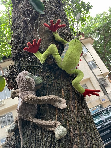 Two stuffed animals climbing a tree on a street