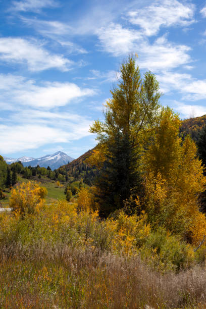 jesienna scena w pobliżu paonii w stanie kolorado - rocky mountains colorado autumn rural scene zdjęcia i obrazy z banku zdjęć