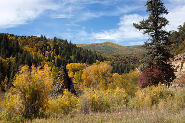 jesienna scena w pobliżu paonii w stanie kolorado - rocky mountains colorado autumn rural scene zdjęcia i obrazy z banku zdjęć