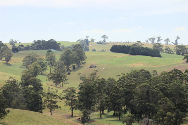 istock Australian Country side 1479854665