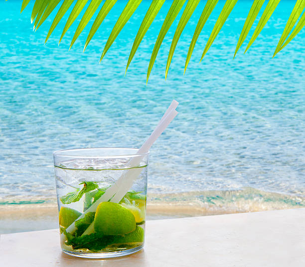 istock Mojito cocktail with peppermint leaves and lemon 147985598