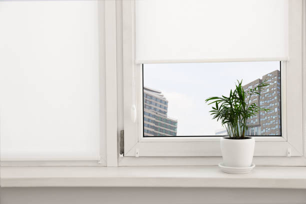 pianta d'appartamento sul davanzale bianco vicino alla finestra con le tapparelle - sunblinds foto e immagini stock